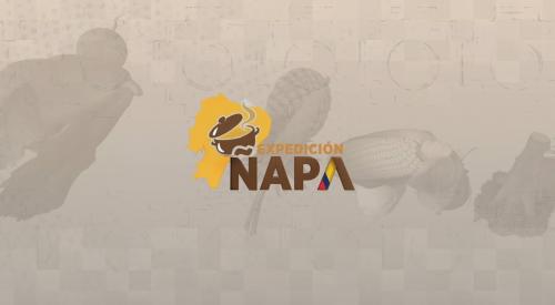 Embedded thumbnail for Expedición Ñapa - Loja